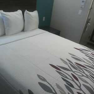 Camera superior con letto queen size