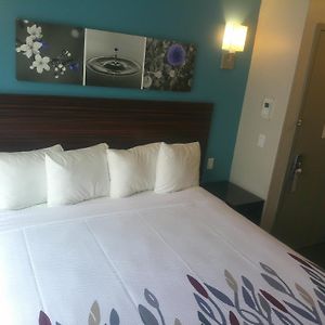Camera superior accessibile ai disabili con letto king size